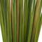 Ivory and Iris; 39" Dried Plant Sticks Natural Foliage With Slender Stems; Category:Dried Floral; Image:4